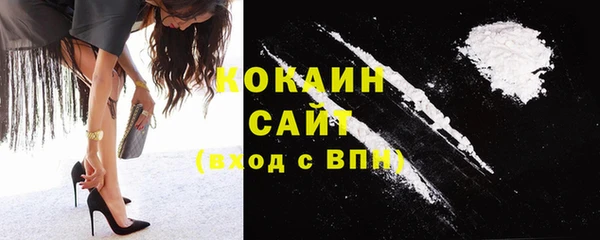 стаф Дмитров