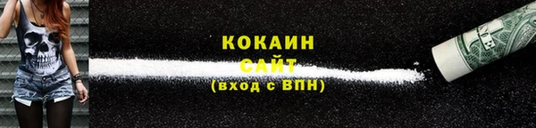 стаф Дмитров