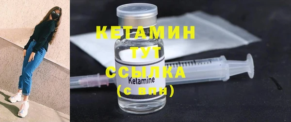 стаф Дмитров