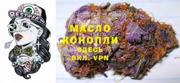 стаф Дмитров