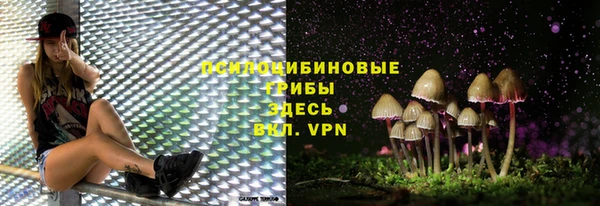 марки nbome Дмитриев