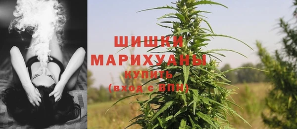 стаф Дмитров