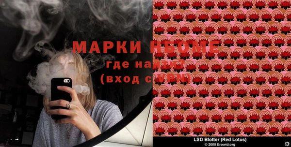 стаф Дмитров