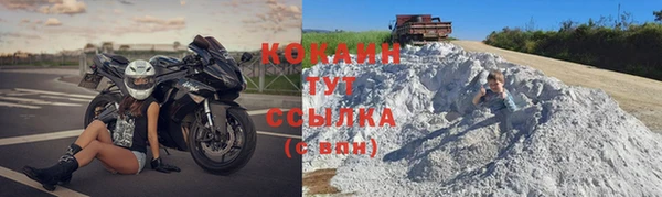 стаф Дмитров